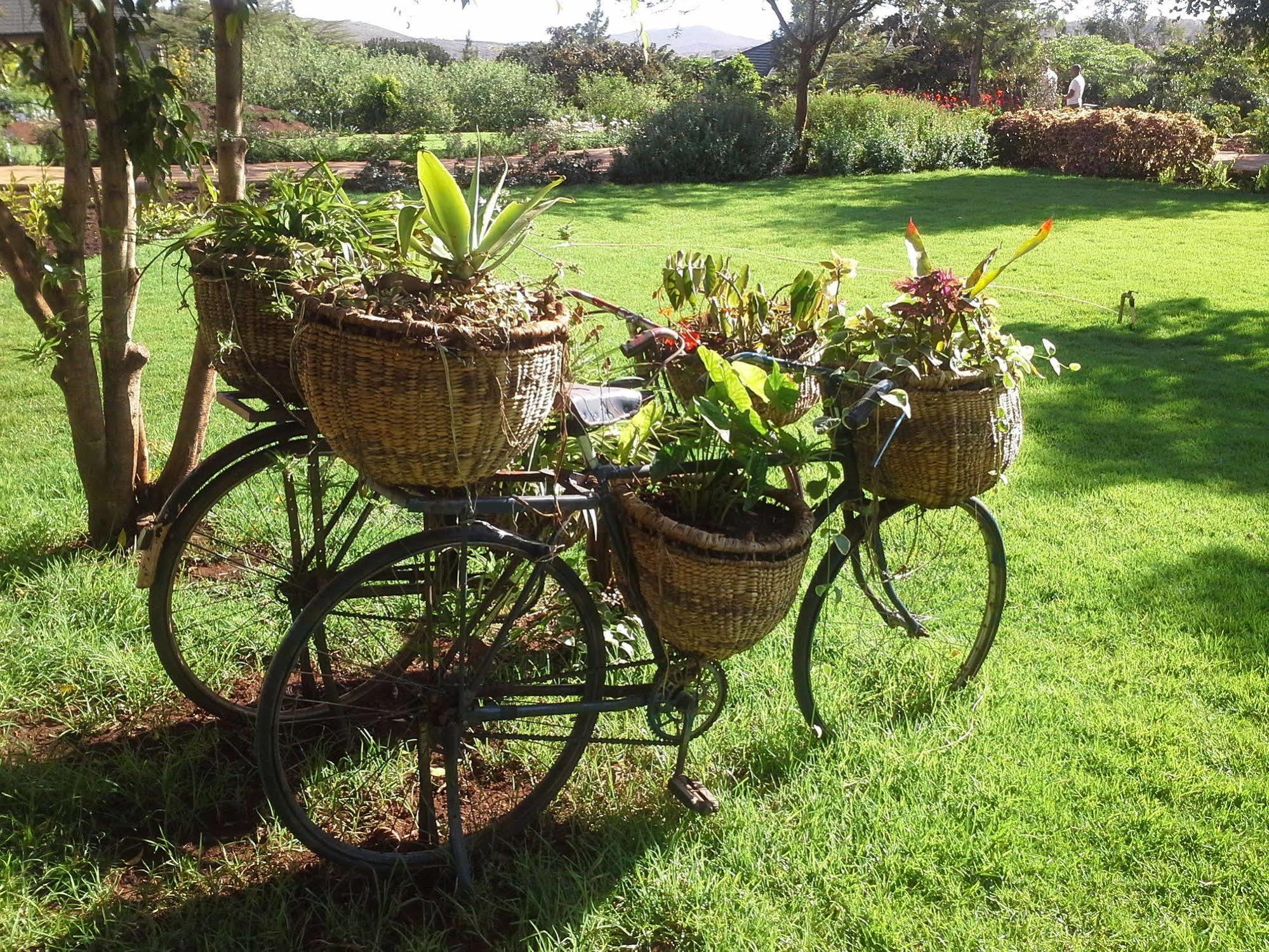 Acacia Farm Lodge Ngorongoro Eksteriør billede