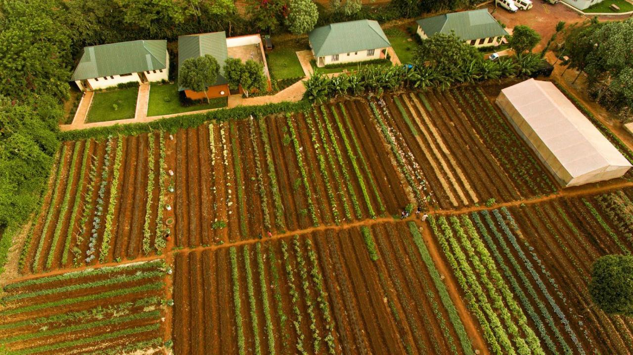 Acacia Farm Lodge Ngorongoro Eksteriør billede